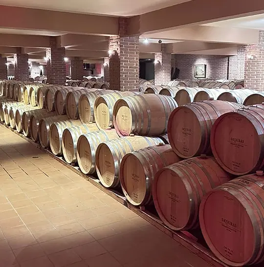 ArcticStore Cold Storage Greece Wineries – Refrigerated Containers